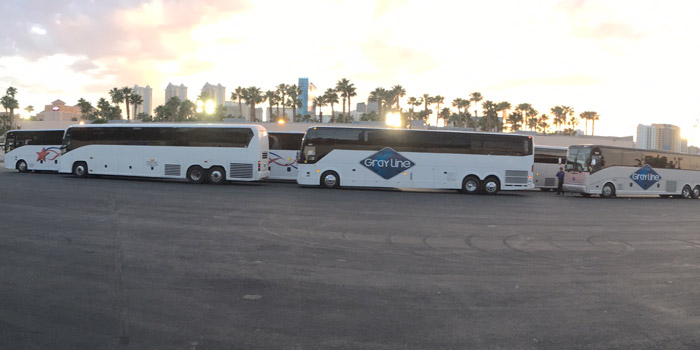 motor coaches lined up